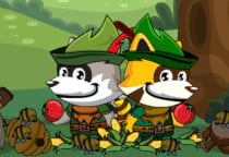 Super Racoon World